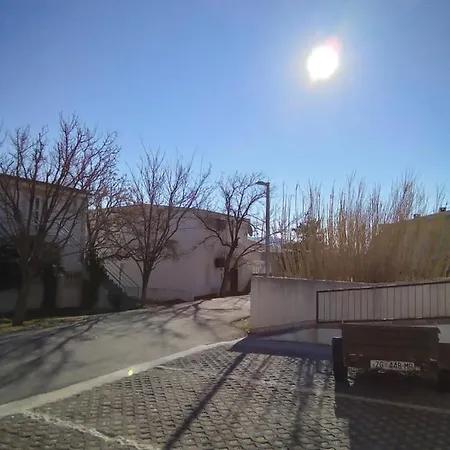 Pavic